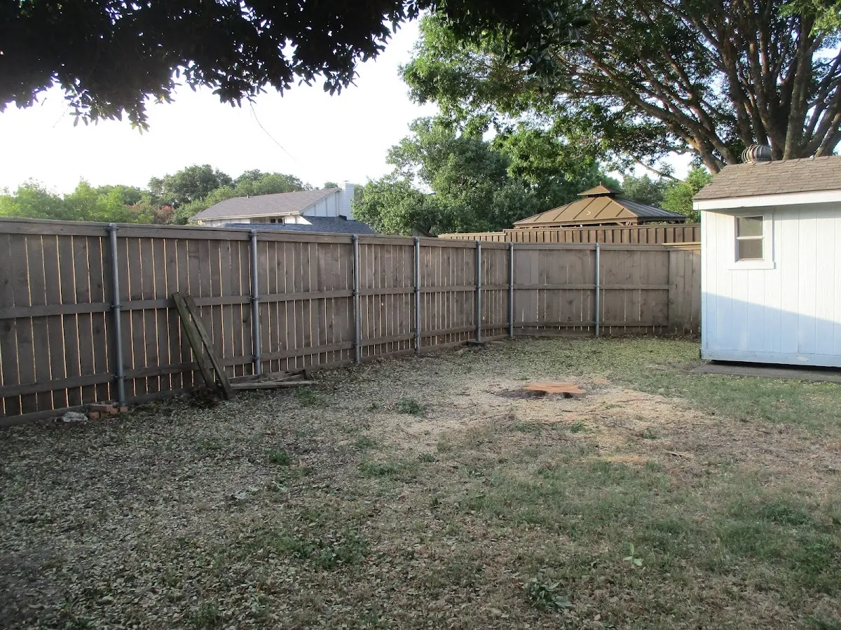 Cleared yard after professional tree removal in Oceano